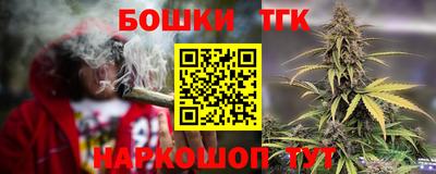 МДПВ Дубна