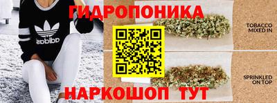МДПВ Дубна