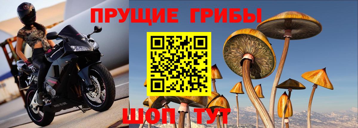 Комсомольск-на-Амуре  Галлюциногенные грибы Magic Shrooms  Вход с VPN 
